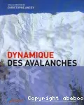 Dynamique des avalanches