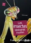 Les insectes : histoires insolites