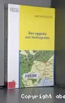 Des oppida aux mtropoles : archologues et gographes en valle du Rhne