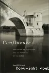 Confluence : the nature of technology and the remaking of the Rhne