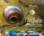 Le rve de l'anguille : une sentinelle en danger : petite encyclopdie sur un poisson extraordinaire