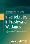 Invertebrates in freshwater wetlands: an international perspective on their ecology