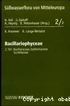 Ssswasserflora von Mitteleuropa : bacillariophyceae. Vol. 2 : Bacillariaceae, epithemiaceae, surirellaceae