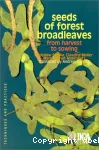 Seeds of forest broadleaves, from harvest to sowing