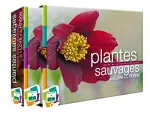 Plantes sauvages de la Loire et du Rhne. Atlas de la flore vasculaire