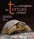 Dans la carapace des tortues de France