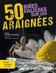 50 ides fausses sur les araignes