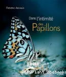 Dans l'intimit des papillons