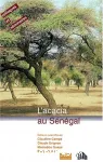 L'acacia au Sngal