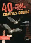 40 ides fausses sur les chauves-souris