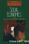 The new Palgrave : Social economics