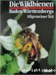 Die Wildbienen Baden-WLurttembergs: Allgemeiner Teil