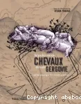 Spultures de chevaux devant Gergovie