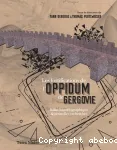 Les fortifications de l'oppidum de Gergovie