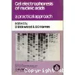 Gel electrophoresis of nucleic acids. A practical approach