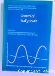 Control of leaf growth