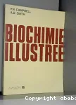 Biochimie illustre