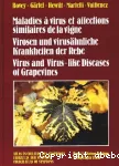 Maladies  virus et affections similaires de la vigne