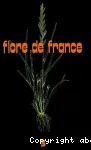 Flore de france. Fascicule 3