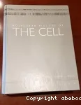 Molecular biology of the cell