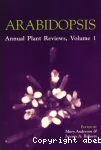 Arabidopsis