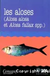 Les aloses (Alosa alosa et Alosa fallax spp.) : cologie et variabilit des populations