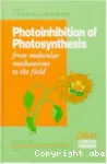 Photoinhibition of photosynthesis: From molecular mechanisms to the field