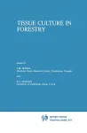 Tissue culture in forestry