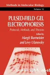 Pulsed-field gel electrophoresis, protocols, methods and theories