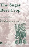 The sugar beet crop