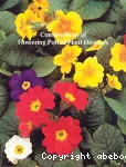 Compendium of flowering potted plant diseases