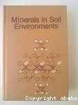 Minerals in soil environments