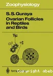 Ovarian follicles in reptiles and birds