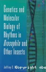 Genetics and molecular biology of rhythms in Drosophila and other insects