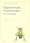 Fulgoromorpha, Cicadomorpha excl. Cicadellidae