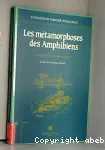 Les mtamorphoses des amphibiens