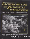 Escheria coli and salmonella typhimurium