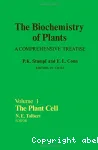 The plant cell