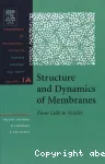 Structure and dynamics of membranes. Part A : From cells to vesicles