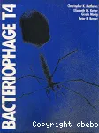 Bacteriophage T4.