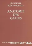 Anatomie des galles