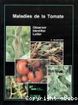 Maladies de la tomate. Observer, identifier, lutter