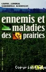 Ennemis et maladies des prairies. Maladies. Ravageurs et parasites animaux. Plantes parasites. Troubles de la nutrition