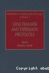 Gene transfer and expression protocols