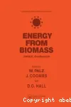 Energy from Biomass