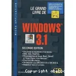 Le grand livre de windows 3.1