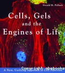 Cells, gels and the engines of life. A new, unifying approach to cell function