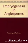 Embryogenesis in Angiosperms