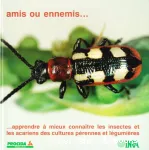 Amis ou ennemis ... Apprendre  mieux connatre les insectes et les acariens des cultures prennes et lgumires. Cent fiches ravageurs et auxiliaires des cultures