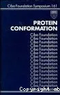 Protein conformation